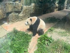 -贵州森林野生动物园