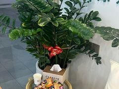 -通透堂中医·精准推拿(万科云城分院)