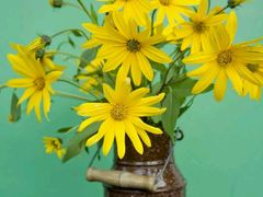 -中发源·清真餐厅(春风店)