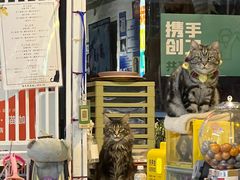 -平行世界·猫咖(首经贸店)