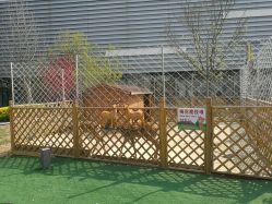 -萌宠亲子动物乐园(槐房万达店)