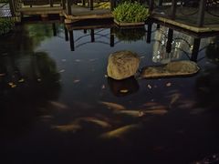 -长阳创谷