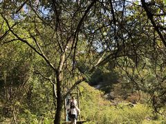 丛林穿越-清凉寨景区