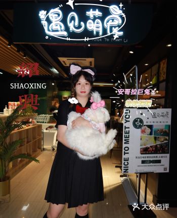 绍兴探店｜绍兴撸猪萌宠店