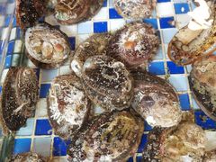 -顺德了能馆(虎门店)