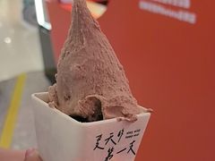 -野人先生现做冰淇淋(北京王府井东方新天地店)