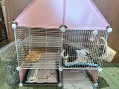 -大象厨房(重庆道店)