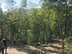 -千泷沟大瀑布旅游区