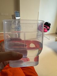 -中国福利会国际和平妇幼保健院(徐汇院区)