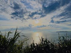 -阿军排档·烧烤