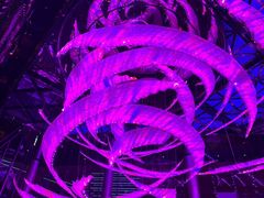 -西安W酒店·WEI全味西餐厅