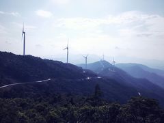 -盐洲岛