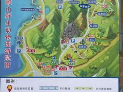 -西霞口神雕山野生动物世界