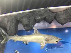 -亚龙湾海底世界