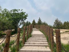 -白水寺森林公园