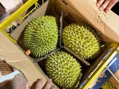 -新鸿港水果市场(三亚新鸿港国际商品交易中心店)