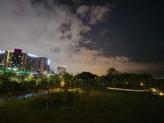 -宝安西湾红树林湿地公园