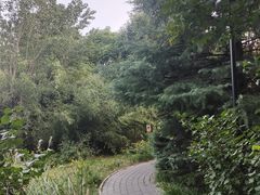 -北极寺公园