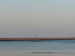 -在海一方公园