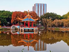 -金砂公园