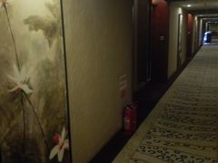 -海上海莲花商务酒店(二部)