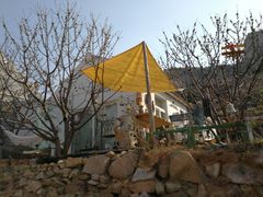 -荒度咖啡(北九水店)