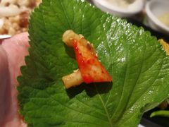 -本家韩国烤肉(青岛万象城店)