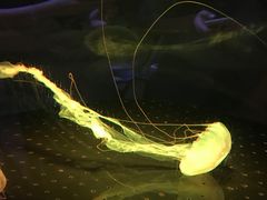 -横店影视城梦幻谷园区