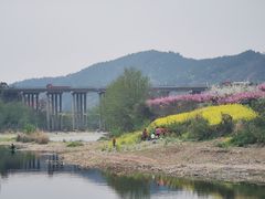 -青林口古镇
