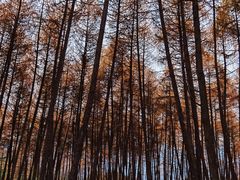 -硗碛藏寨·神木垒景区