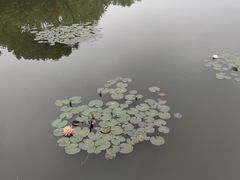 -浙江农林大学(东湖校区)