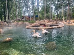 -北京野生动物园