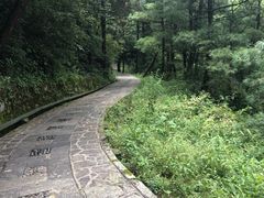 -苍山感通索道