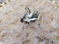 -官塘鱻鱻鱼生