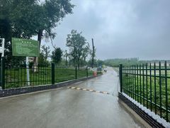 -古隆中景区