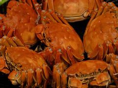 -王宝和酒家(黄浦店)