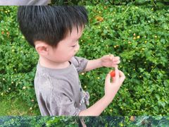-乌村