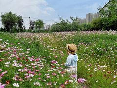 -菊园百果园