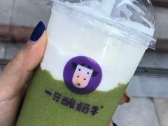 -一只酸奶牛(八一路店)