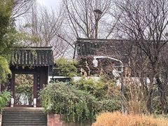 -西溪国家湿地公园