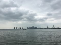 -万绿园