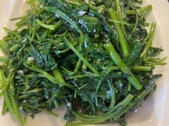 -百家班(市府店)