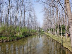 -合肥滨湖国家森林公园