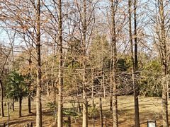 -浙江农林大学(东湖校区)