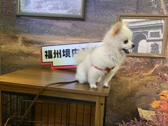 -胡桃里音乐酒馆(仓山万达店)