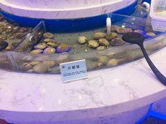 -澜悦港海鲜体验主题餐厅