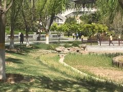 -西海子公园