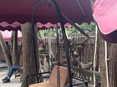 -柴院·柴火鸡