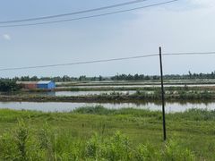 -白渔泡湿地公园