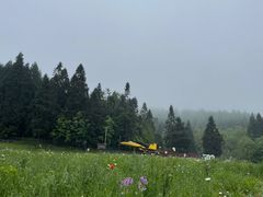 -武陵山森林公园